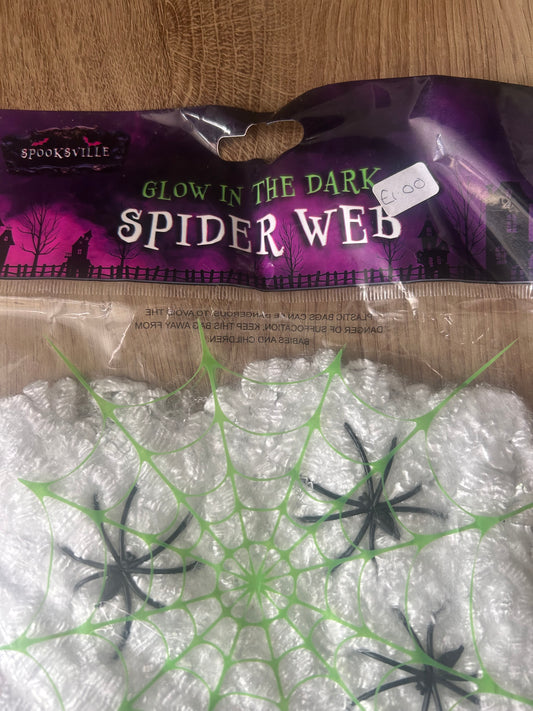 Spider web and spiders